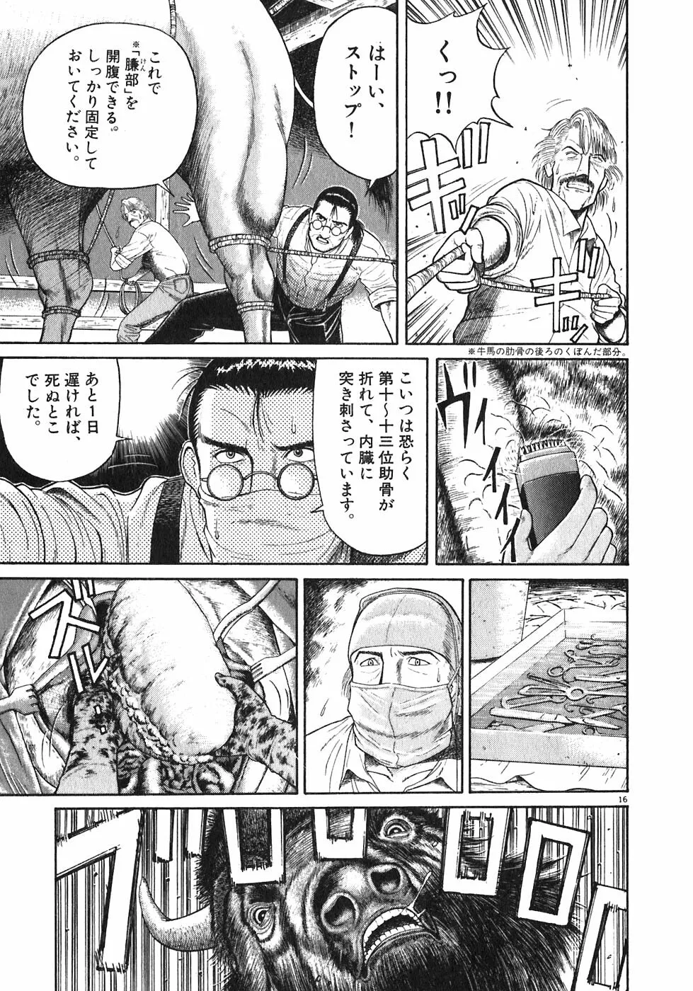 Iwamal Shinryoutan Chapter 1 page 17 - 