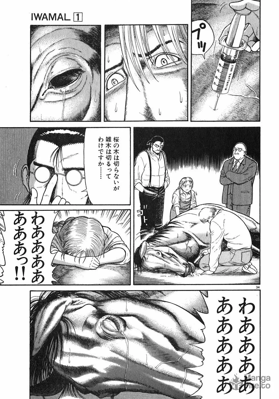 Iwamal Shinryoutan Chapter 1 page 35 - 