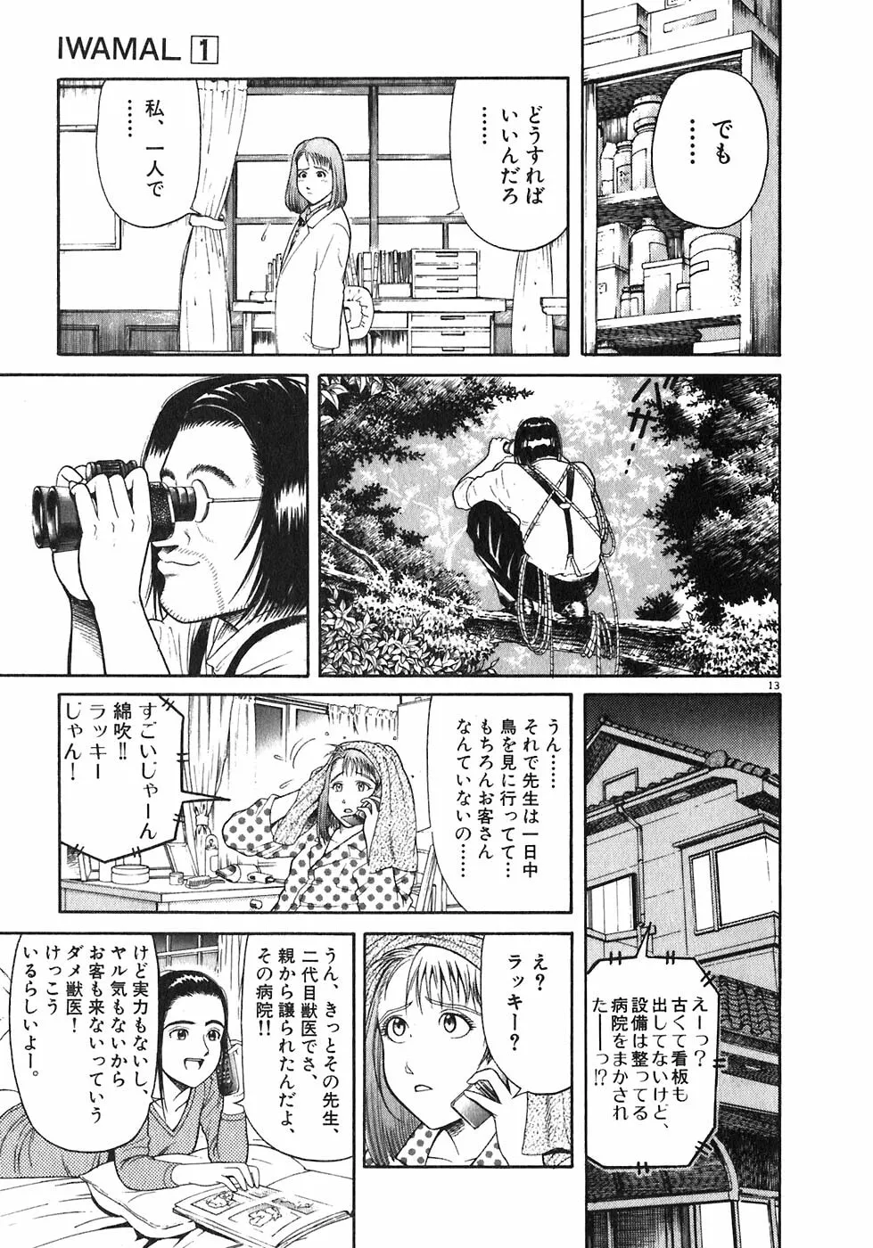Iwamal Shinryoutan Chapter 2 page 13 - 