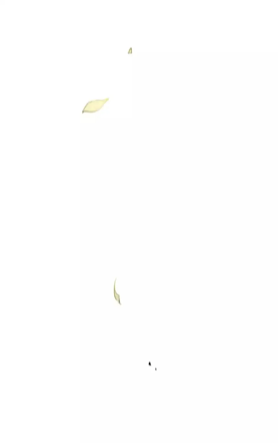 Read Jack: The American Ghost chapter 101 image 34 on Lezhin