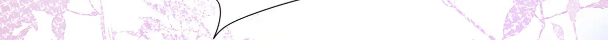 Jiaoyangle Ge Feng Pi Meiren Er Chapter 1 page 70 - 