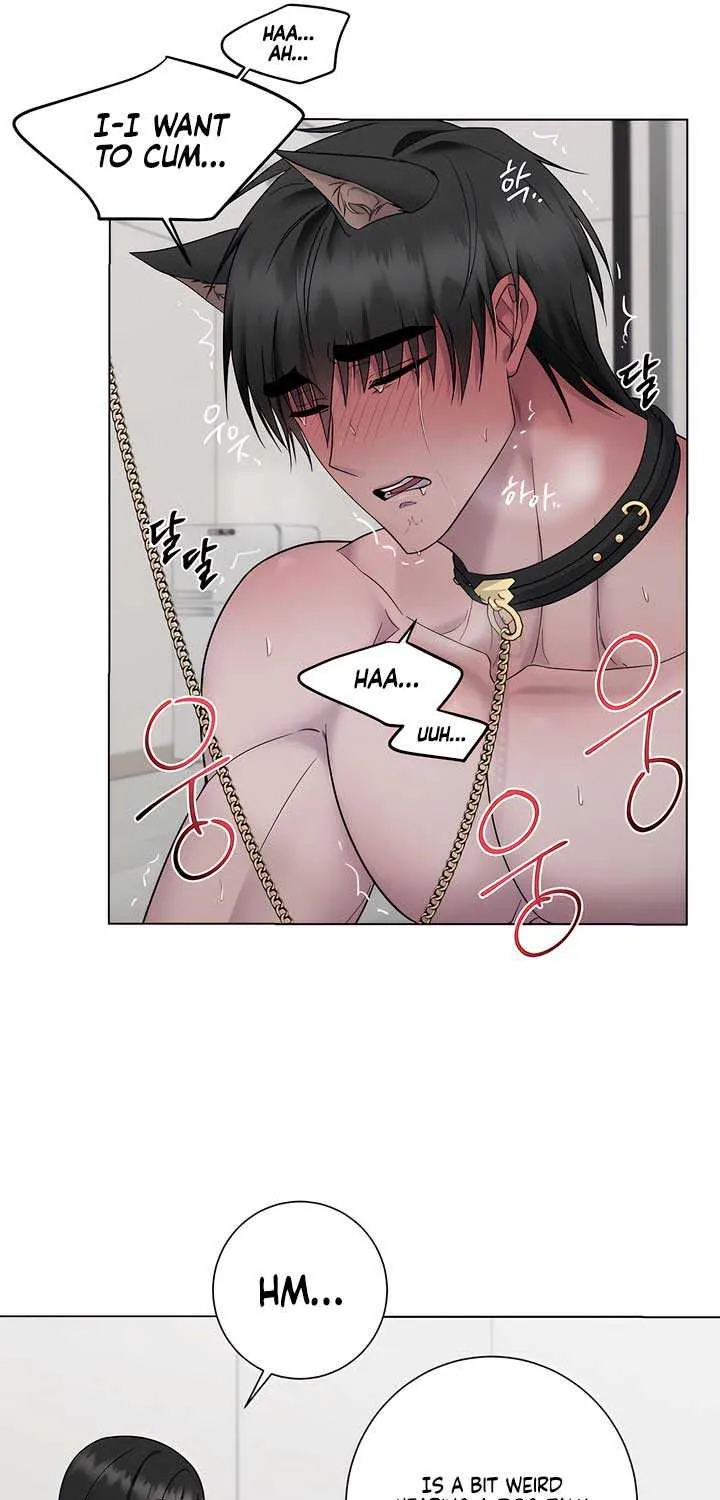 Read Jiwoo’s Master chapter 18 image 33 on Lezhin