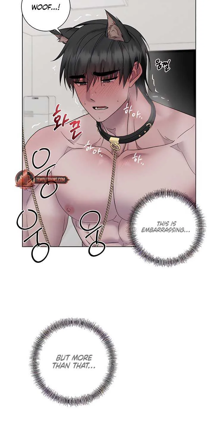 Read Jiwoo’s Master chapter 18 image 37 on Lezhin