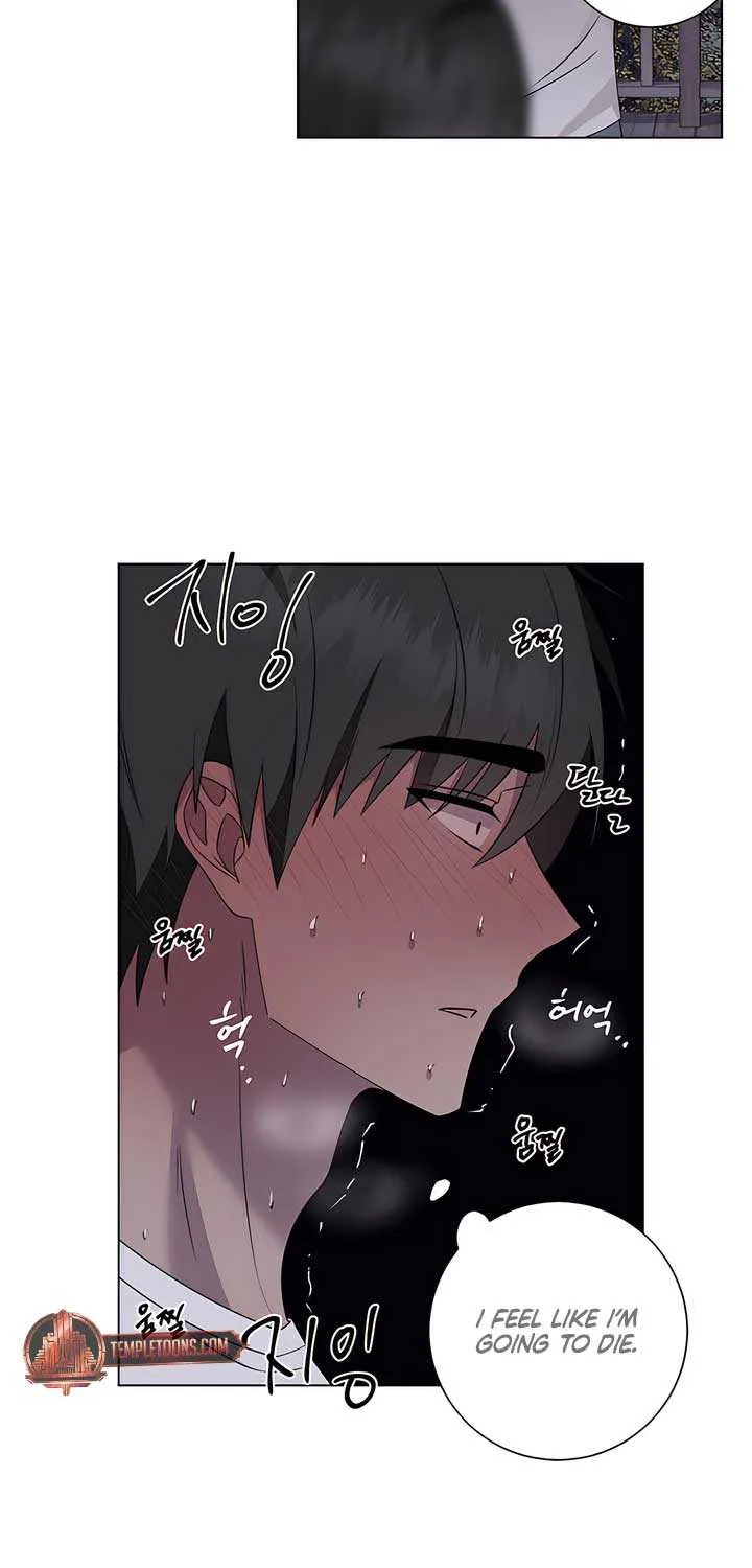 Read Jiwoo’s Master chapter 26 image 46 on Lezhin