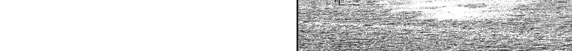 Read Jormungand chapter 49 image 31 on Lezhin