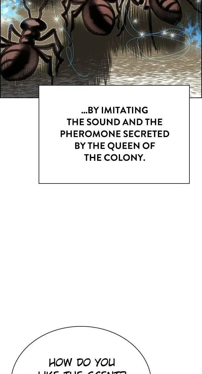 Read Jungle Juice chapter 12.1 image 55 on Lezhin