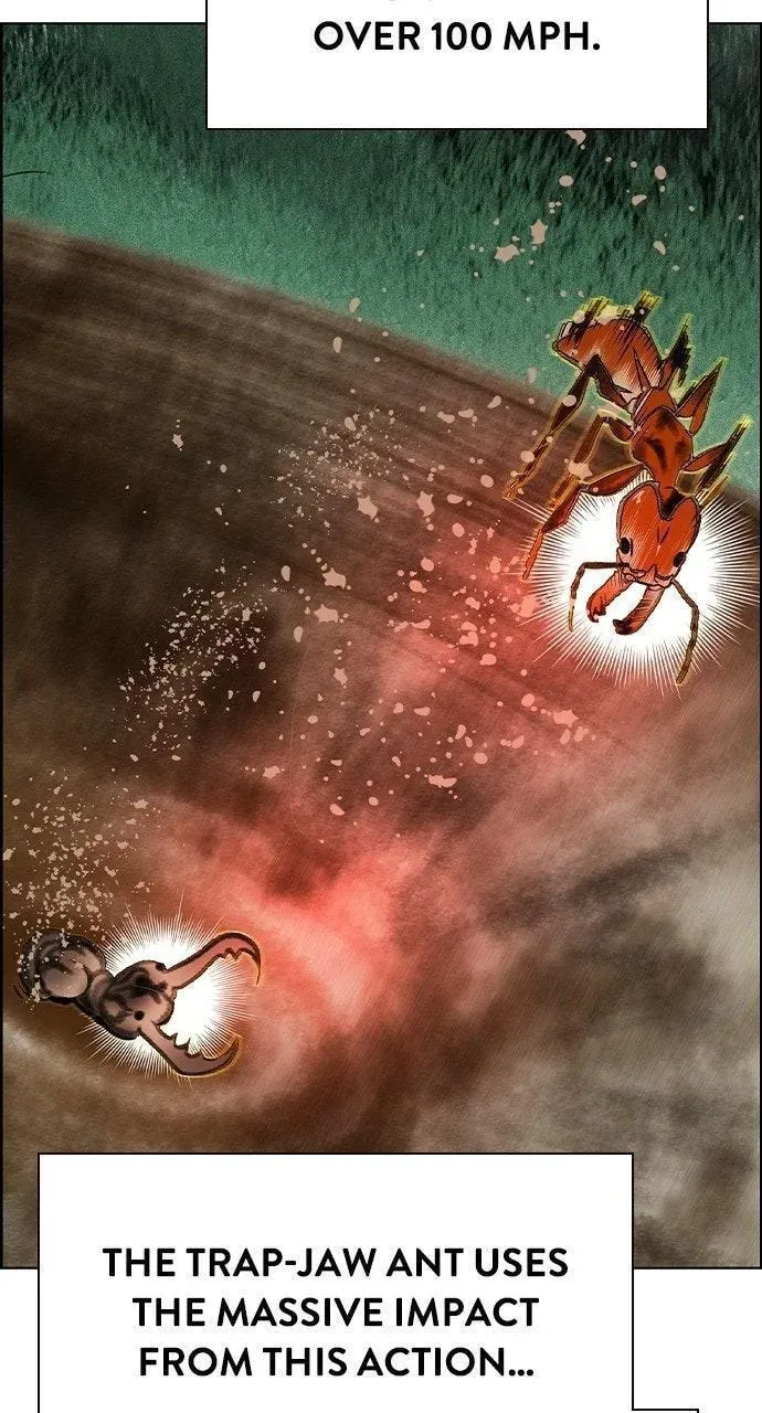 Read Jungle Juice chapter 46.2 image 61 on Lezhin