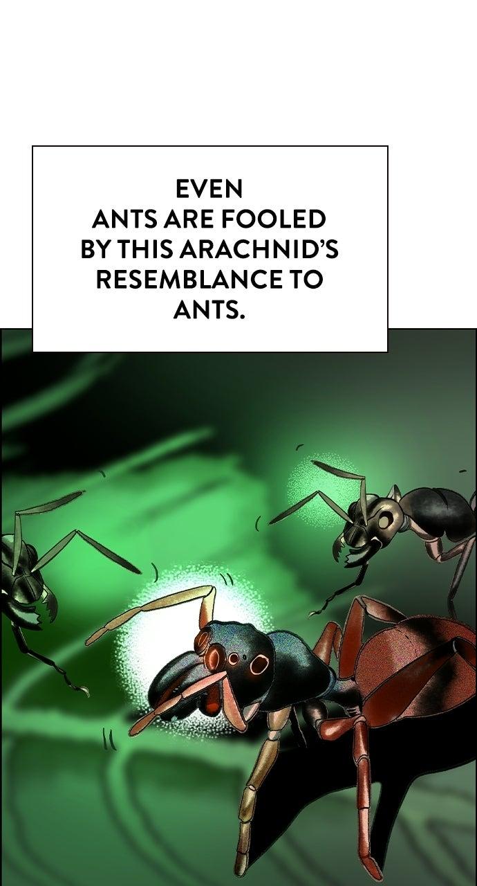 Read Jungle Juice chapter 62.9 image 133 on Lezhin