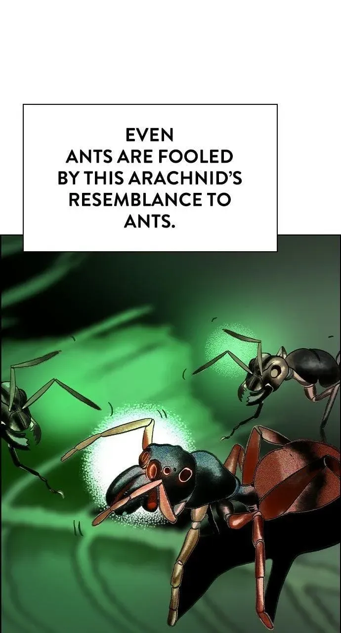 Read Jungle Juice chapter 63.1 image 133 on Lezhin