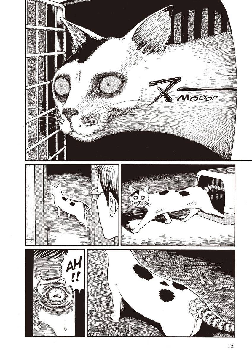Read Junji Ito