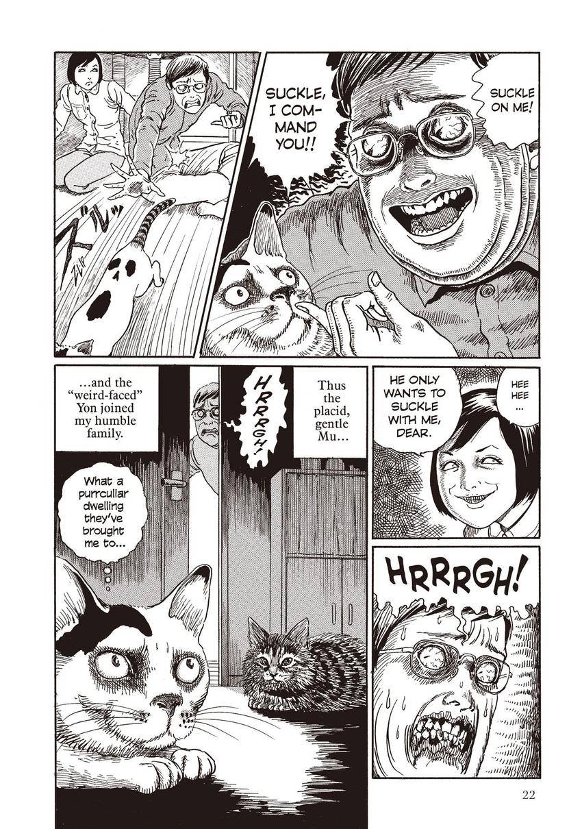 Read Junji Ito