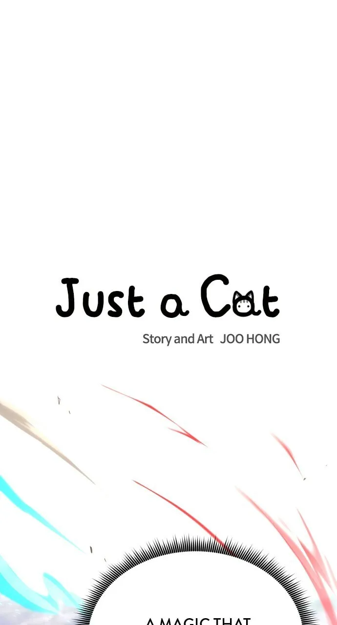 Read Just a Cat chapter 18 image 6 on Lezhin