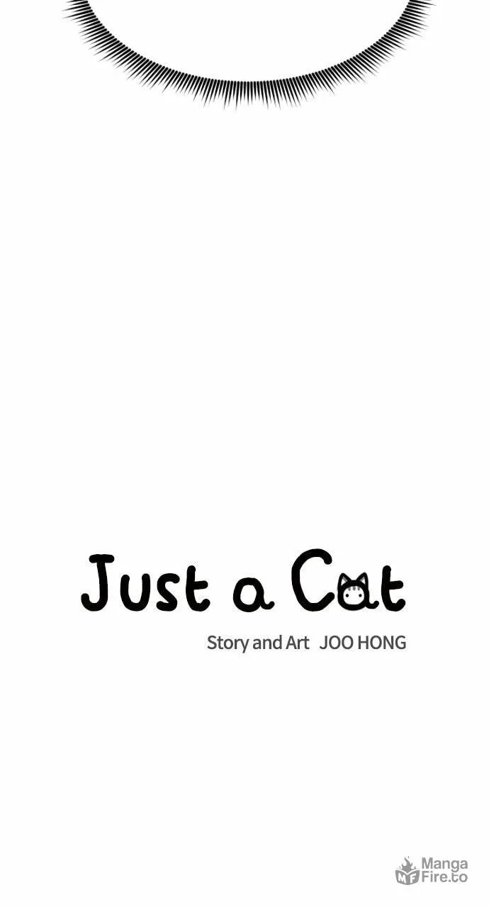 Read Just a Cat chapter 19 image 14 on Lezhin
