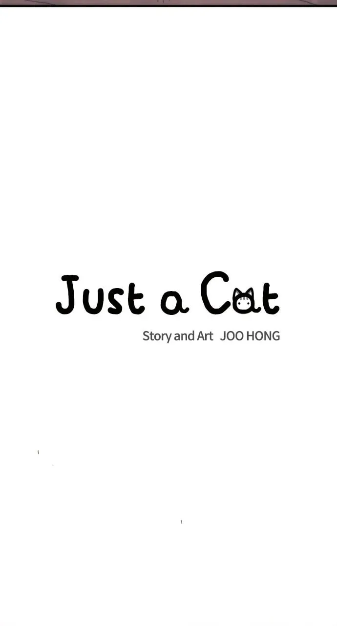 Read Just a Cat chapter 20 image 7 on Lezhin