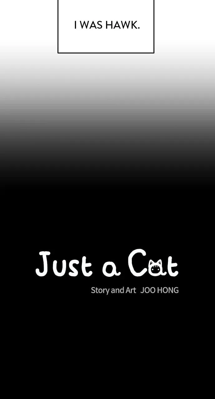 Read Just a Cat chapter 23 image 18 on Lezhin