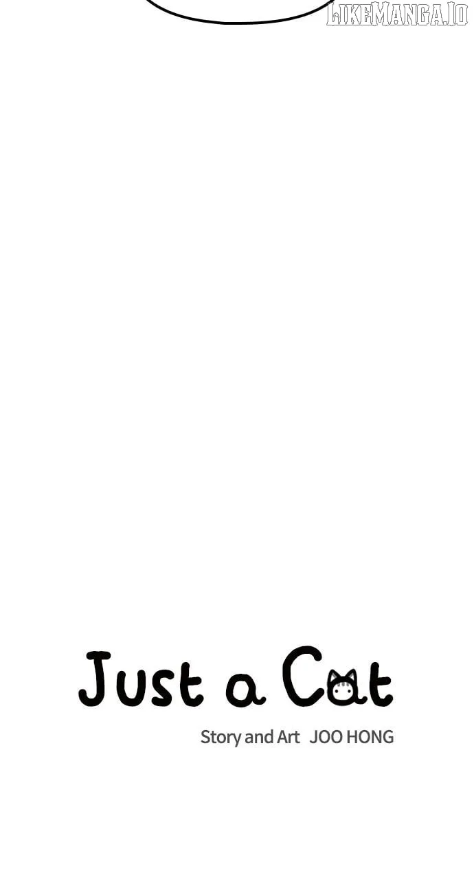 Read Just a Cat chapter 26 image 20 on Lezhin