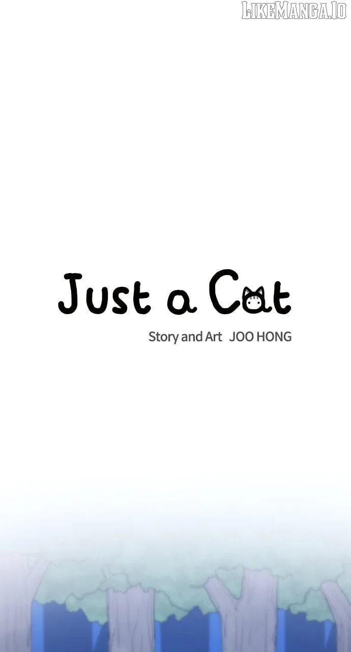 Read Just a Cat chapter 28 image 12 on Lezhin