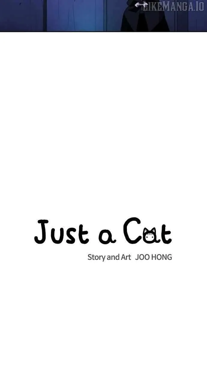 Read Just a Cat chapter 29 image 10 on Lezhin