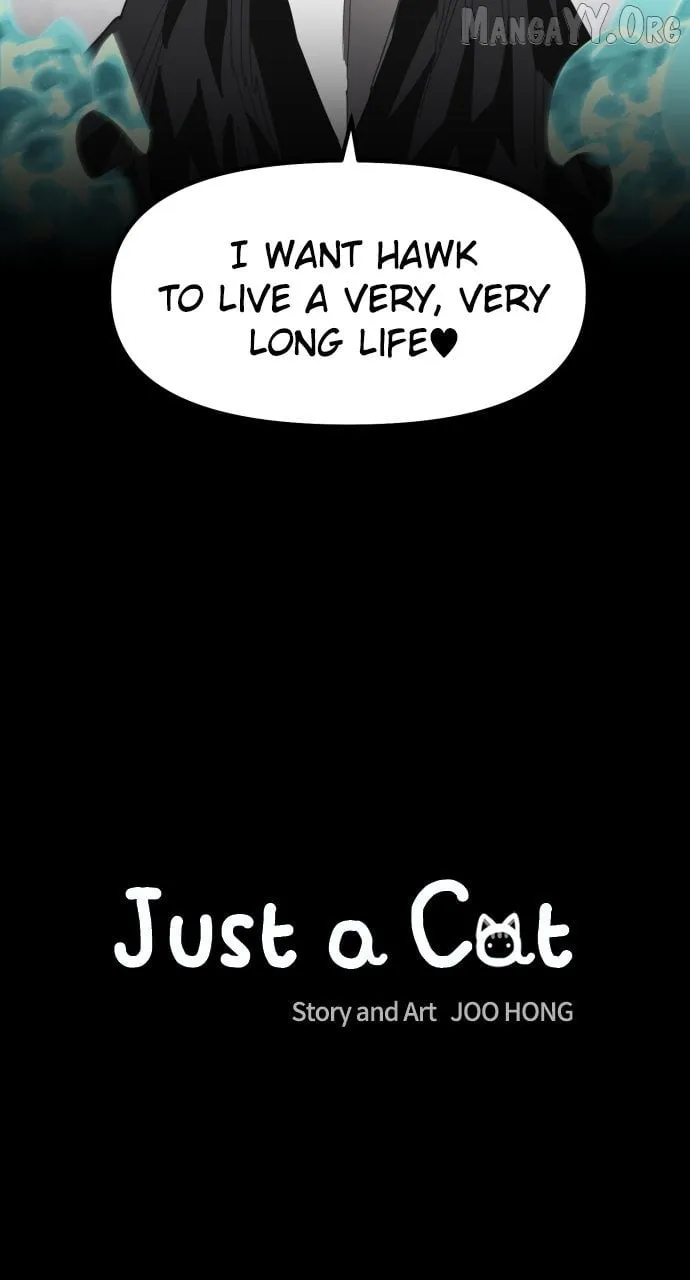Read Just a Cat chapter 34 image 10 on Lezhin