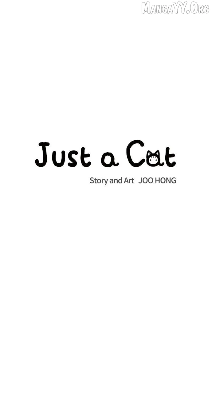 Read Just a Cat chapter 35 image 6 on Lezhin