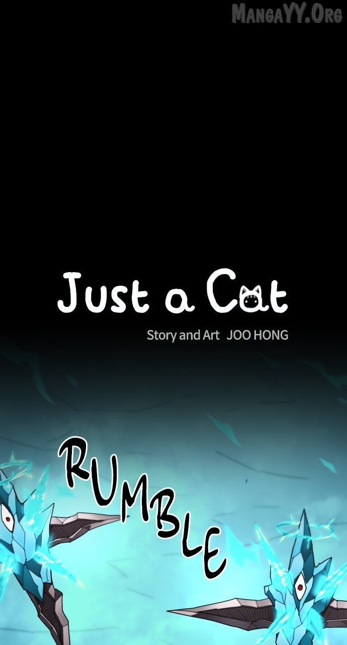 Read Just a Cat chapter 36 image 12 on Lezhin