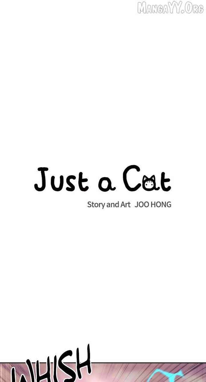 Read Just a Cat chapter 38 image 10 on Lezhin