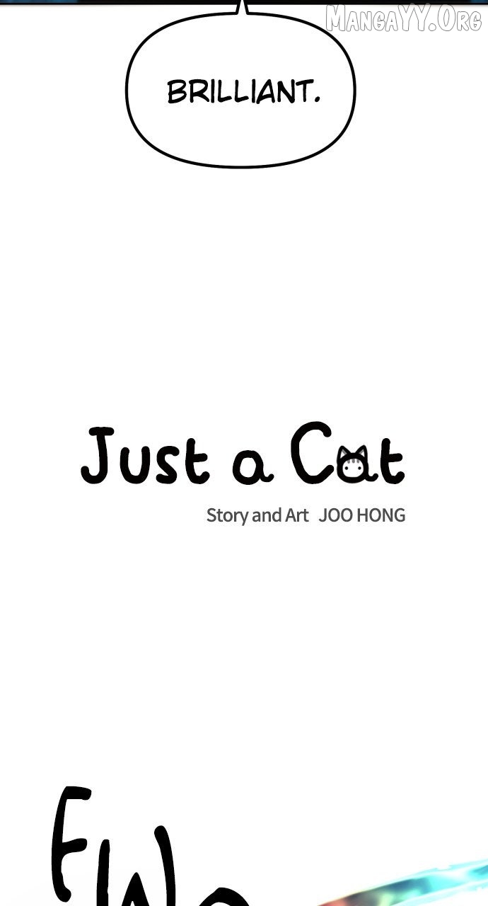 Read Just a Cat chapter 39 image 9 on Lezhin