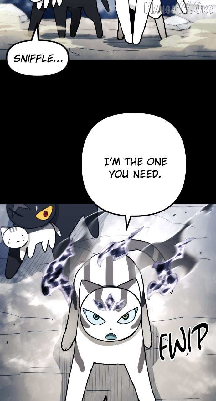 Read Just a Cat chapter 40 image 13 on Lezhin