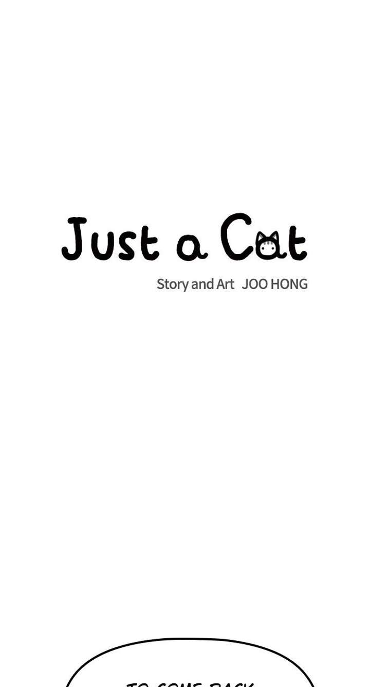 Read Just a Cat chapter 41 image 6 on Lezhin