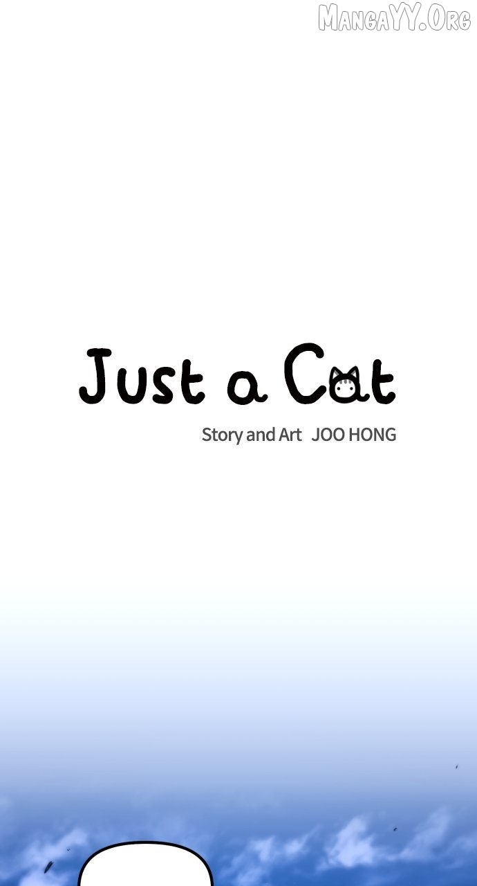 Read Just a Cat chapter 42 image 5 on Lezhin