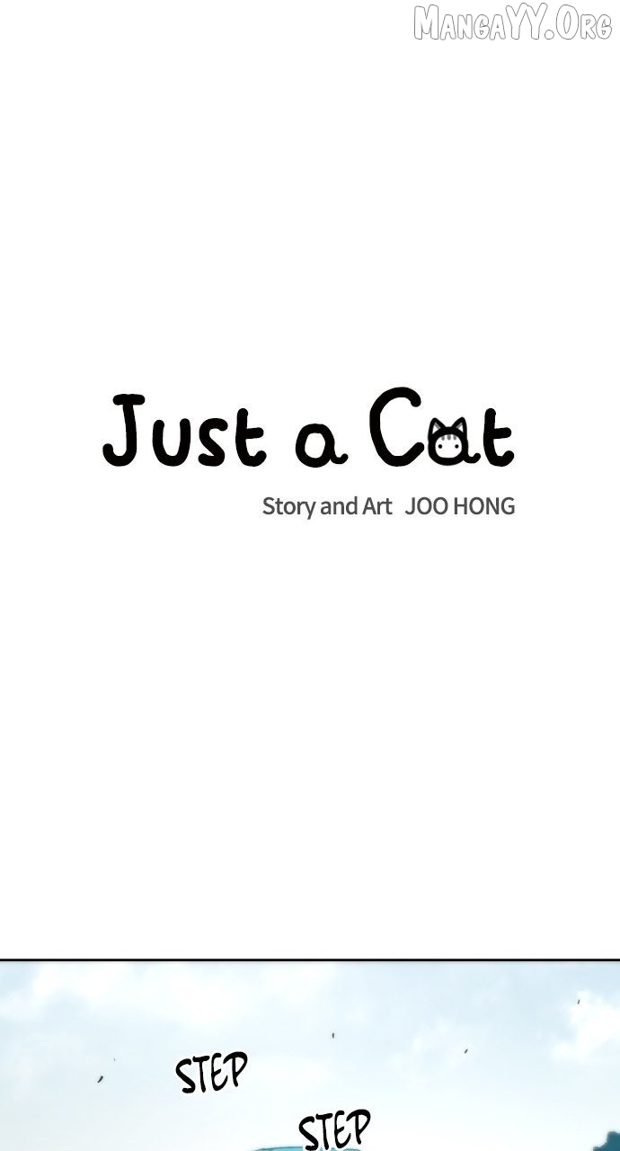 Read Just a Cat chapter 46 image 8 on Lezhin