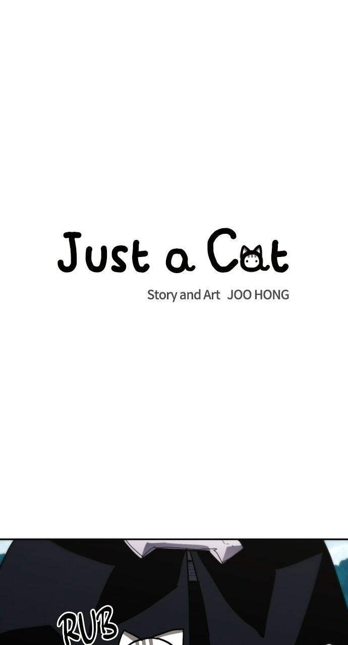 Read Just a Cat chapter 47 image 33 on Lezhin