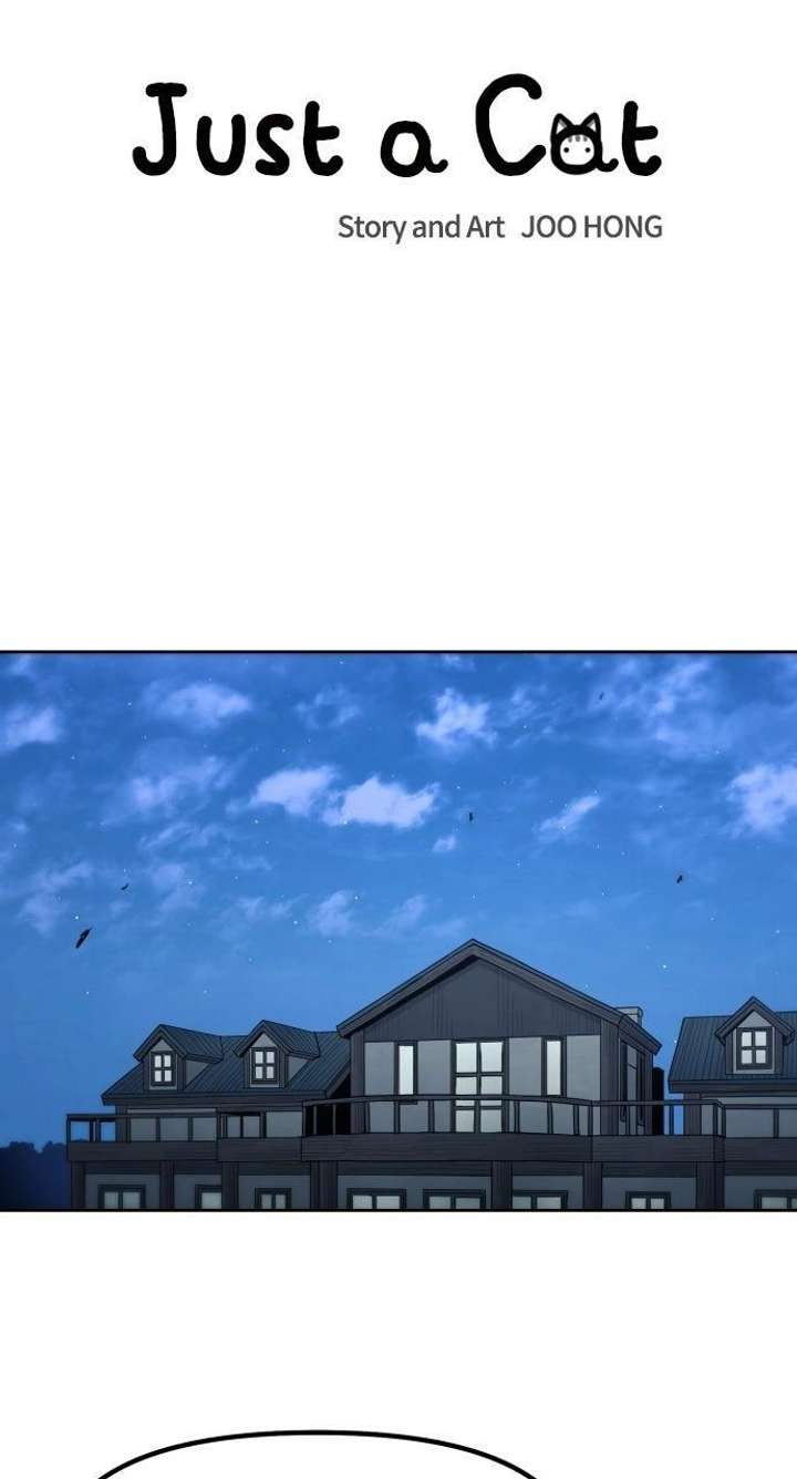 Read Just a Cat chapter 49 image 26 on Lezhin