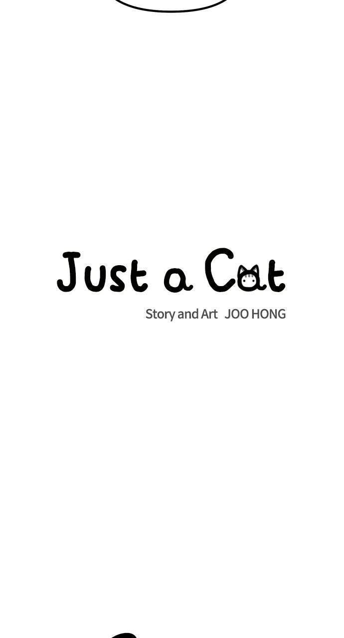 Read Just a Cat chapter 52 image 28 on Lezhin