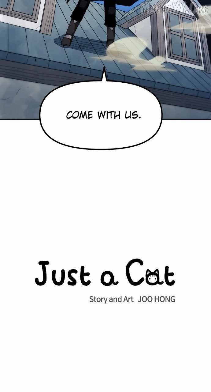 Read Just a Cat chapter 53 image 10 on Lezhin