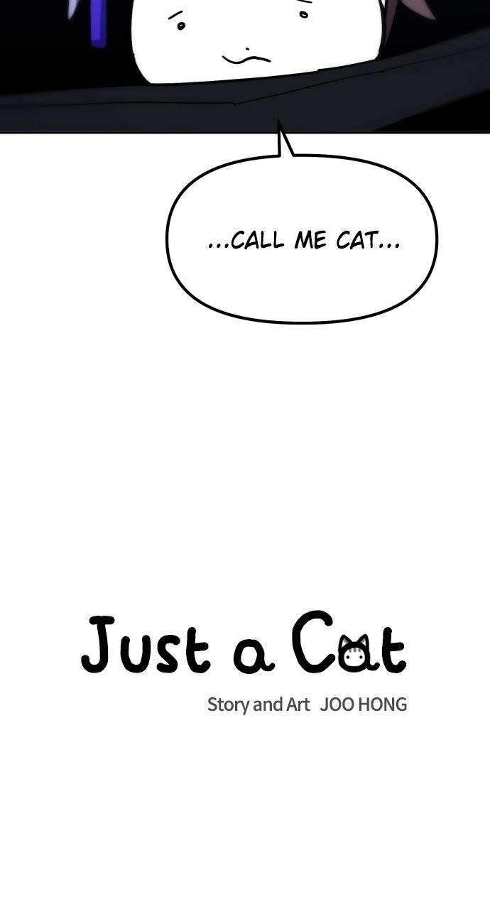 Read Just a Cat chapter 54 image 35 on Lezhin