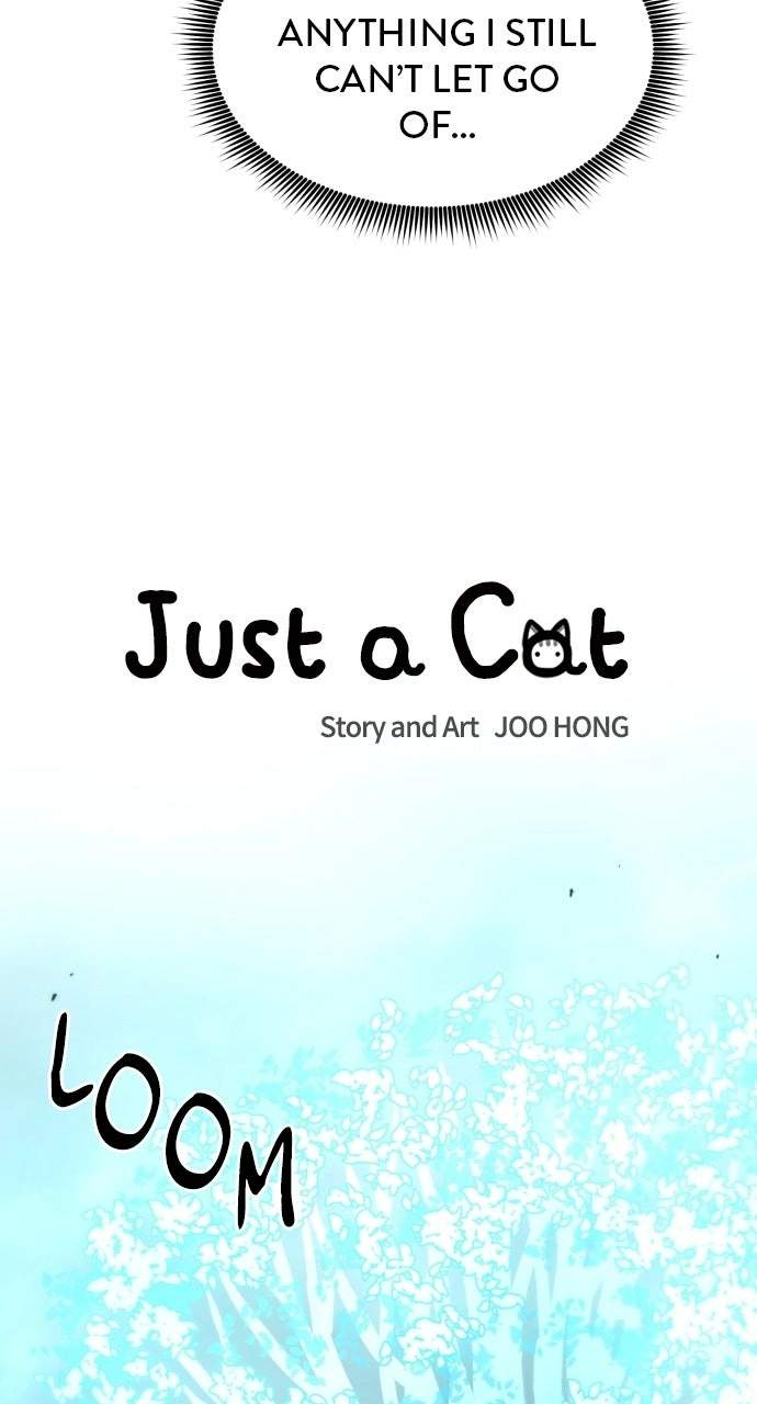 Read Just a Cat chapter 55 image 7 on Lezhin