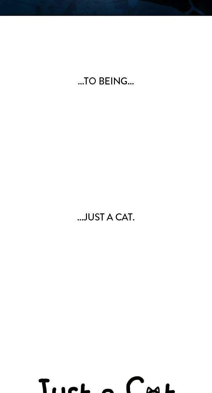 Read Just a Cat chapter 61 image 41 on Lezhin