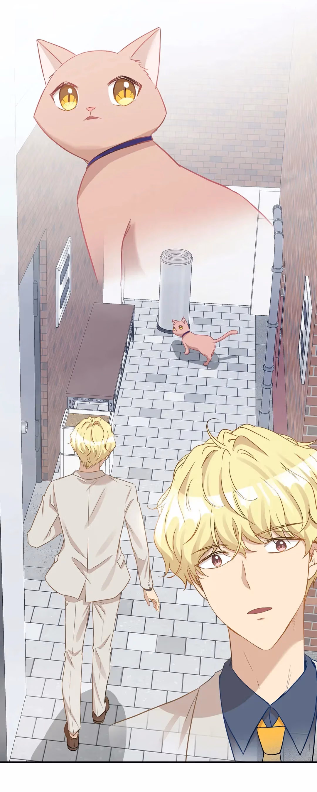 Just for a Meowment Chapter 20 page 33 - 