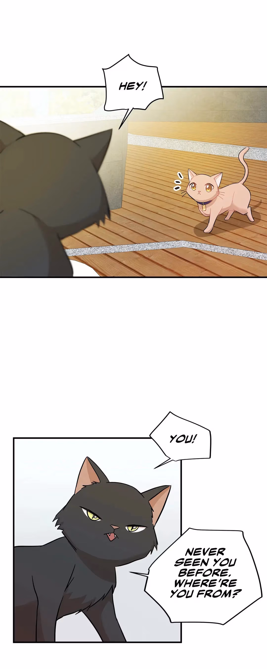 Just for a Meowment Chapter 21 page 11 - 