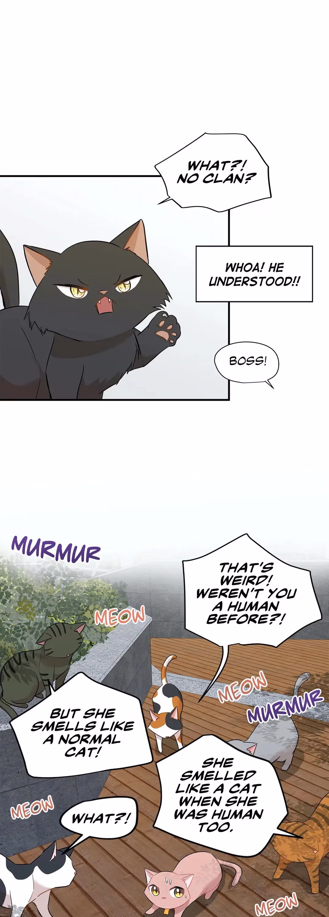 Just for a Meowment Chapter 21 page 13 - 