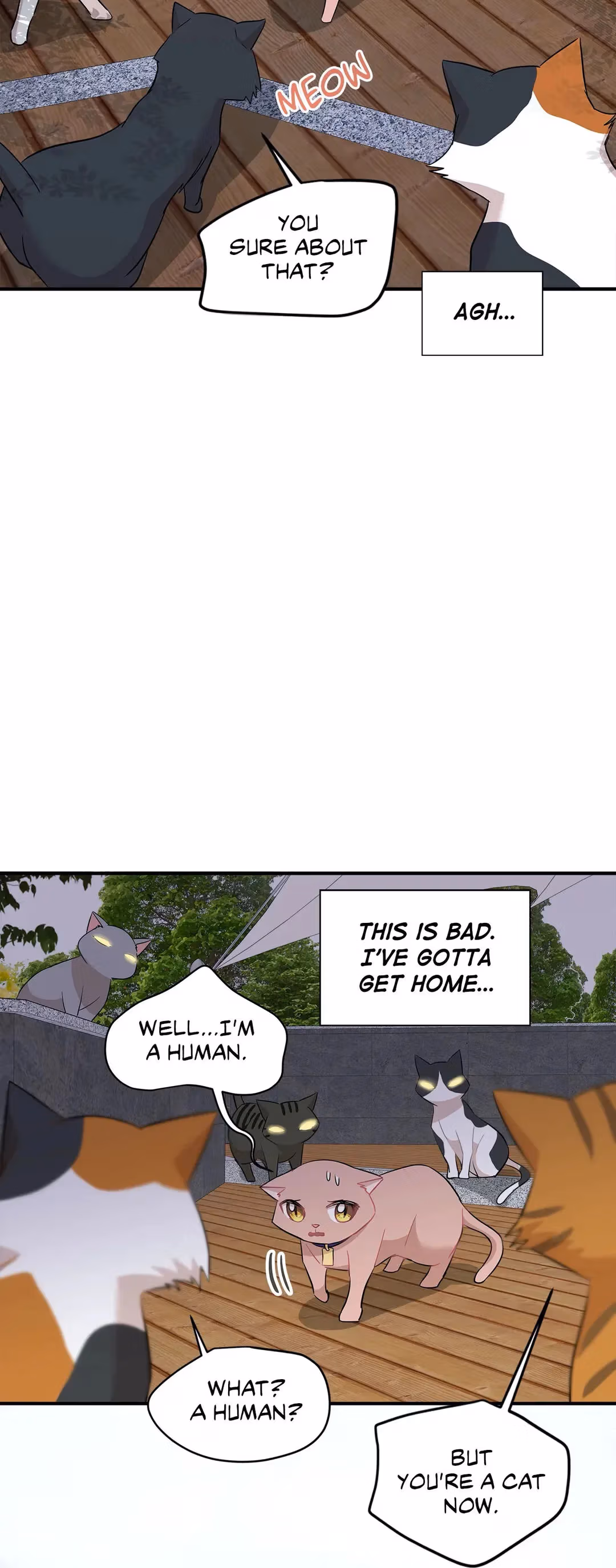 Just for a Meowment Chapter 21 page 14 - 