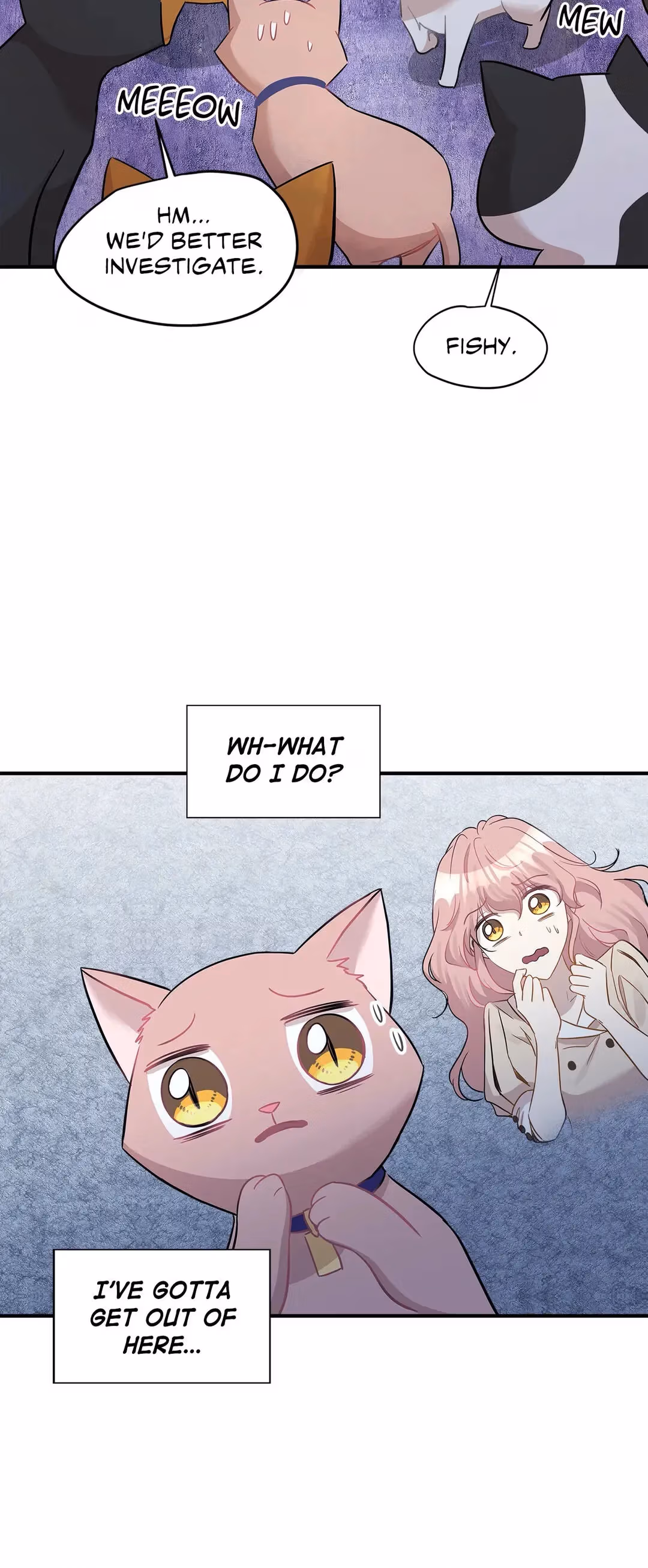 Just for a Meowment Chapter 21 page 16 - 