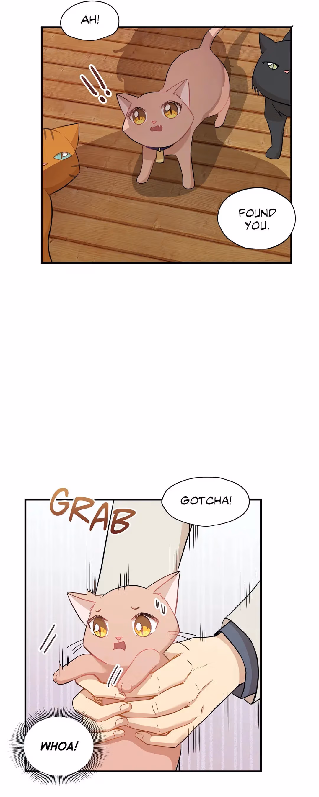 Just for a Meowment Chapter 21 page 18 - 