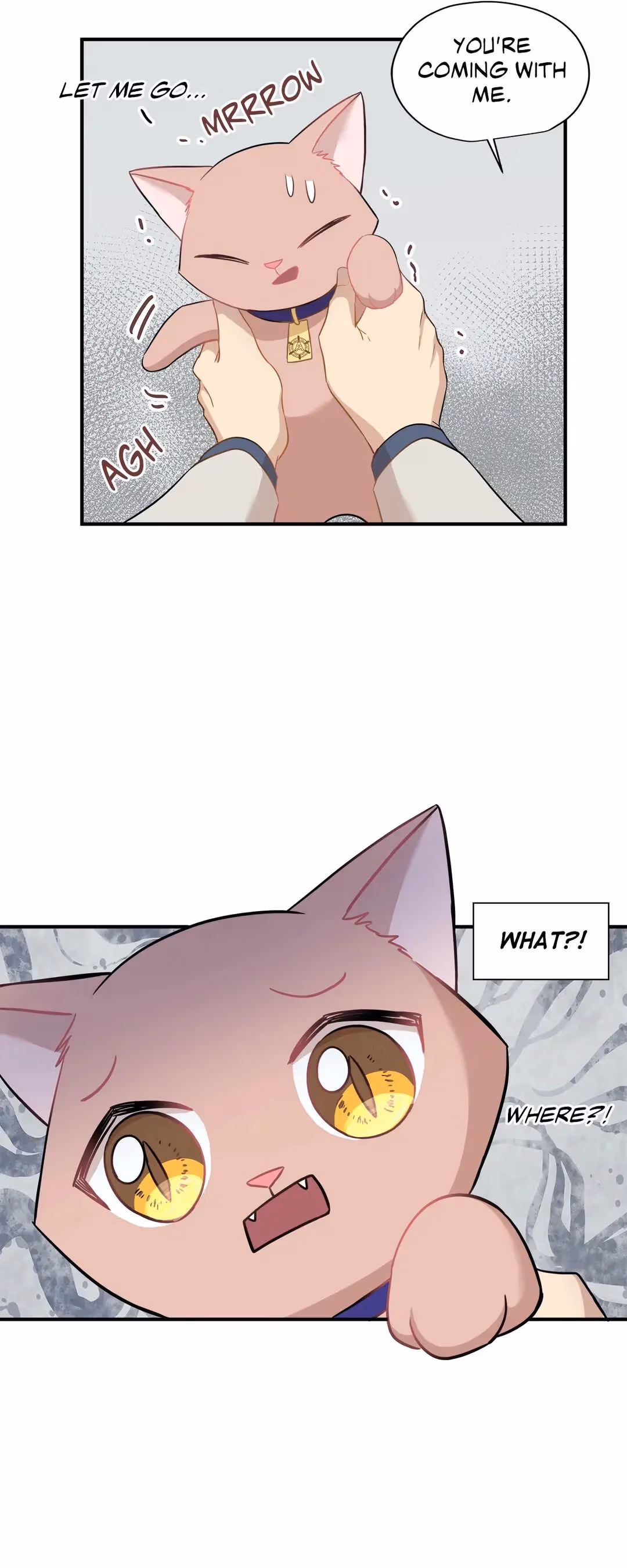 Just for a Meowment Chapter 21 page 20 - 
