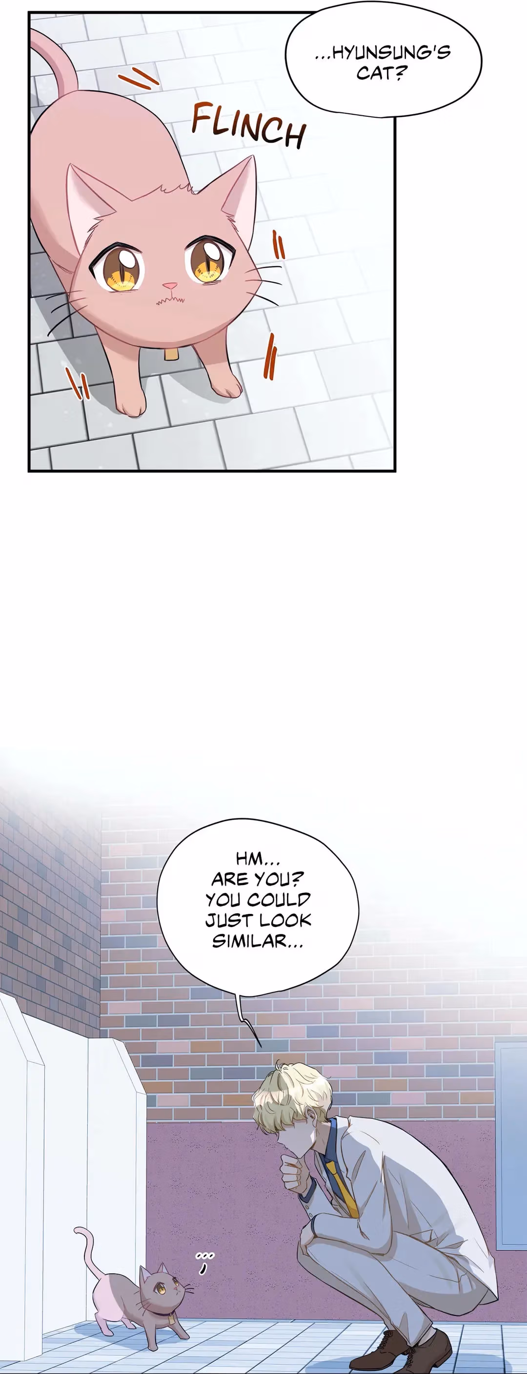 Just for a Meowment Chapter 21 page 4 - 