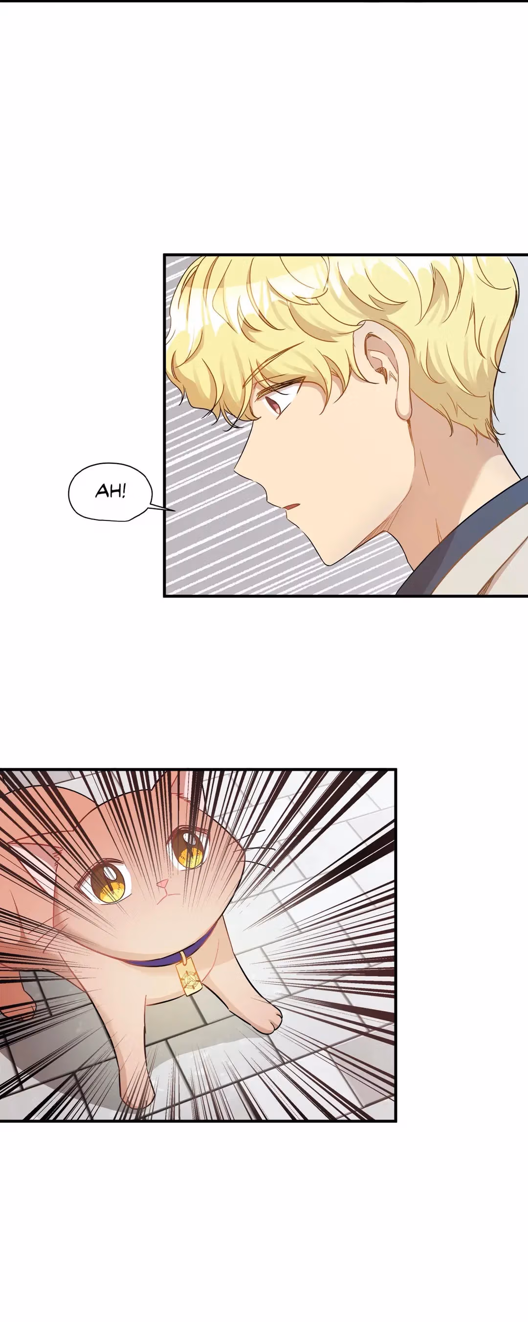 Just for a Meowment Chapter 21 page 5 - 