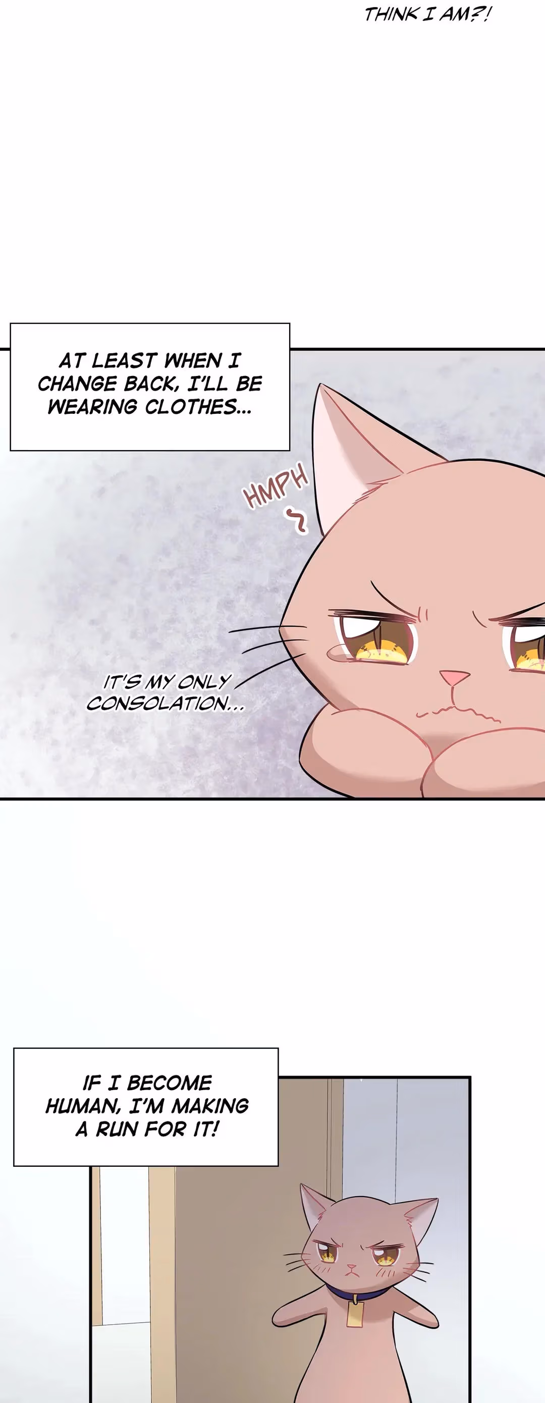 Just for a Meowment Chapter 22 page 14 - 