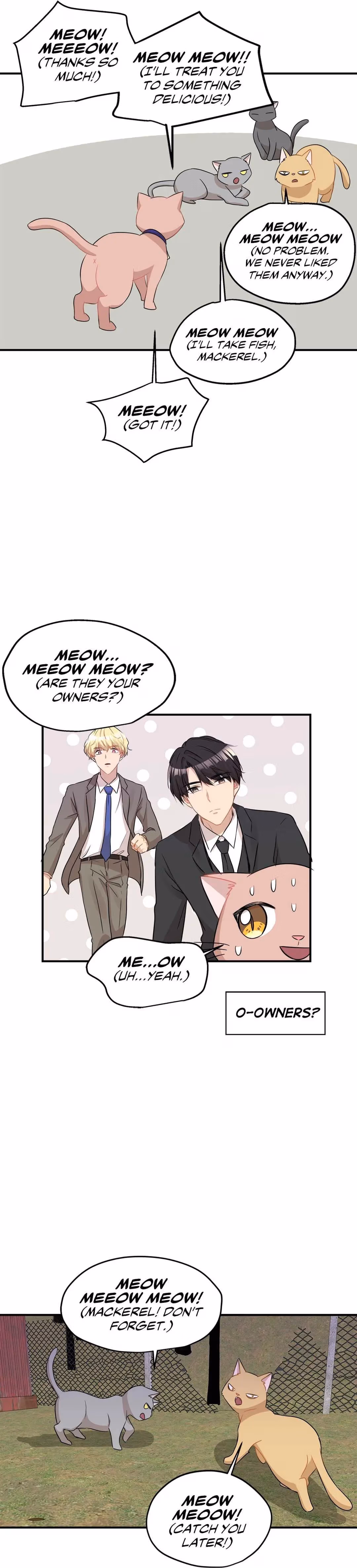 Just for a Meowment Chapter 26 page 24 - 