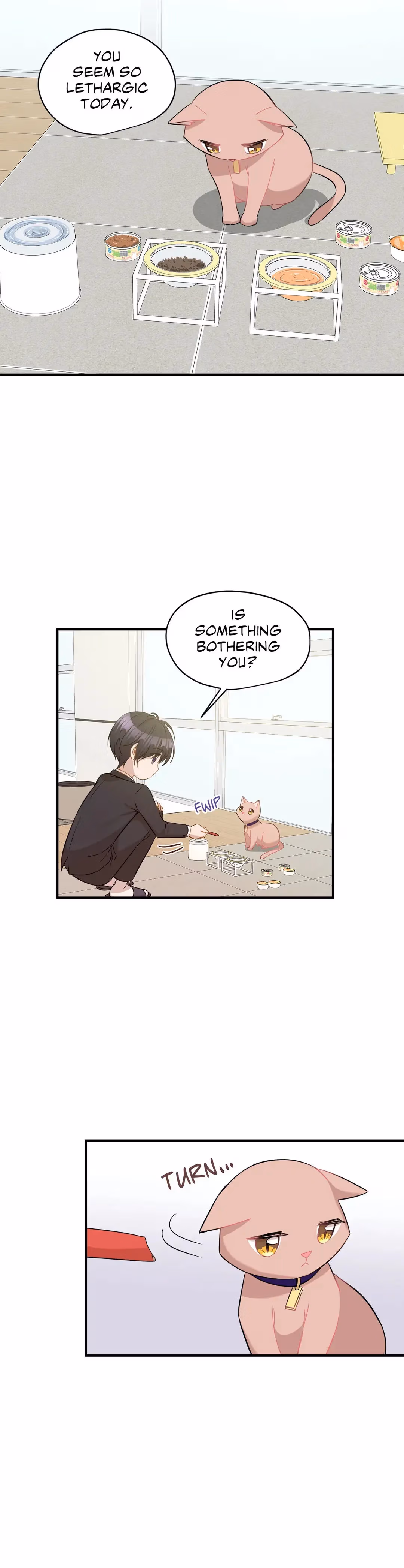 Just for a Meowment Chapter 30 page 18 - 